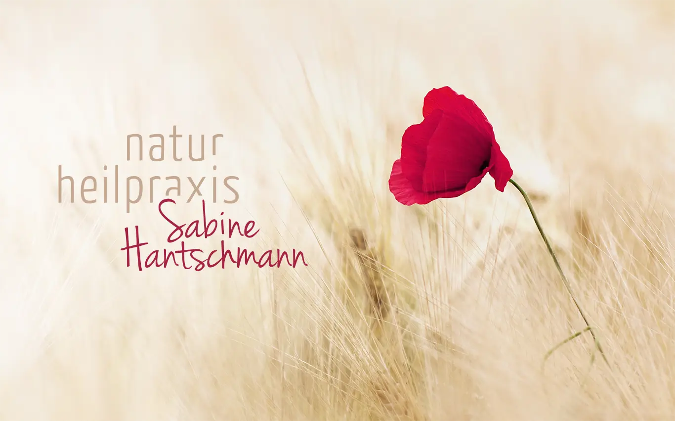 Naturheilpraxis Sabine Hantschmann Titelbild